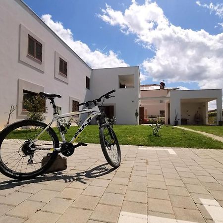 Apartments Leticia Vrsi Zewnętrze zdjęcie