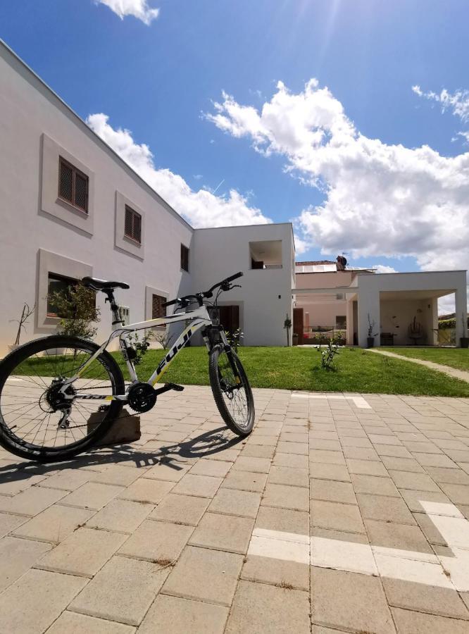 Apartments Leticia Vrsi Zewnętrze zdjęcie