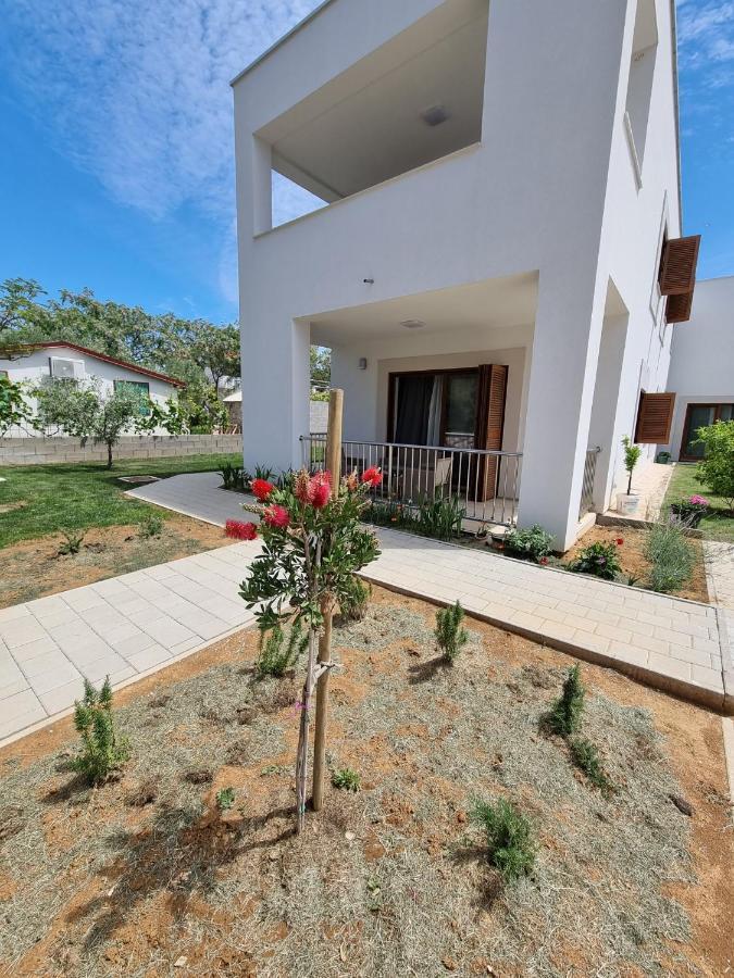 Apartments Leticia Vrsi Zewnętrze zdjęcie